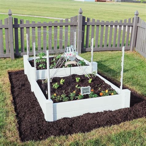 how to start a raised bed vegetable garden